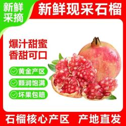 正宗会理软籽石榴 当季水果 净重4.5斤