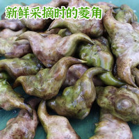 洪湖农家 新鲜老菱角 现摘现发 湖北特产  新鲜蔬菜   新鲜老菱角5斤（发顺丰）
