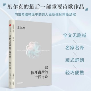 系列单本 儒林外史 吴敬梓 著 中国古代讽刺文学 经典名著 中小学课外书