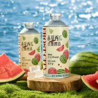 星谷 赤夏西瓜小麦啤酒 750ml*6罐