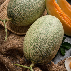 京鲜生 西州蜜哈密瓜 6-8斤 2粒装 礼盒