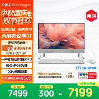 戴尔 新款 高端一体机台式电脑(13代i5 16G 512G)美学白 23.8护眼大屏 商用办公影音 学习机