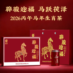 泾泽 骅骏迎福茯茶 马年生肖茶茯茶礼盒 泾阳茯茶480g 陕西特产
