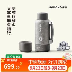 摩动 车载烧水壶便携式烧水壶1L大容量 DSB17E