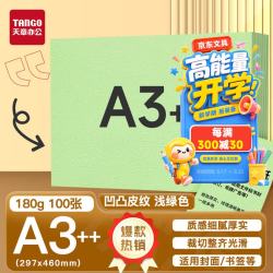 天章 A3++凹凸皮纹纸/压纹纸/封面纸/云彩纸 浅绿色180g 100张/包