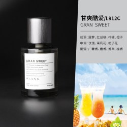 快美特 CAR MATE 快美特 BLANG-PREMIUM 汽车香水 100mL-200mL