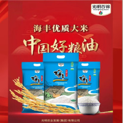 光明米业 海丰优质大米 10kg