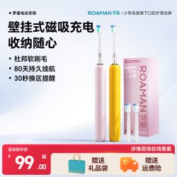 小熊 罗曼电动牙刷壁挂式充电成人生日礼物男女情侣礼盒送礼小冰棒