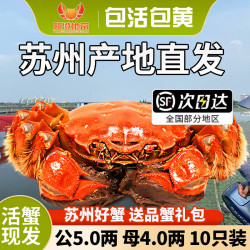 阳澄 大闸蟹 现货鲜活大螃蟹公母蟹 公4.0-4.3两 母3.0-3.3两 4对8只装