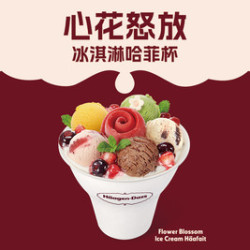 哈根达斯 哈姆雷斯店）心花怒放冰淇淋哈菲杯