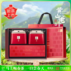 谢裕大 2026新茶印迹明前珍芽黄山毛峰特级一等200g茶叶礼盒中秋礼品送礼