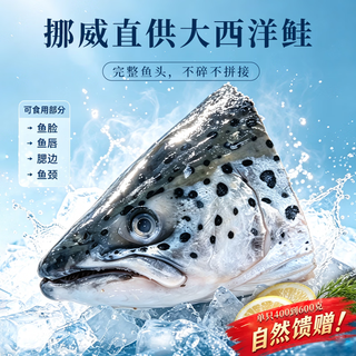BOWO 挪威三文鱼鱼头 4.5斤 袋装