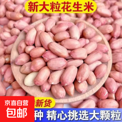 京喜 白沙花生花生米新鲜花生优质精选农家自产滋补养血圆花生泡酒煮粥 花生豆 220g*1袋