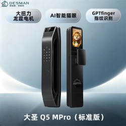 德施曼 Q5MPro 猫眼可视大屏 高端黑 标准锁体版 智能门锁