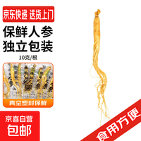 京喜 新鲜人参 10g/根 保鲜人参 真空塑封鲜参东北人参泡酒炖汤材料 1根