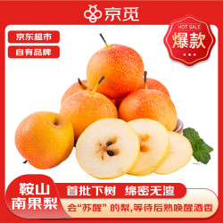 京觅 辽宁鞍山南果梨4.5斤净重单果100g+香水梨应季新鲜水果源头直发