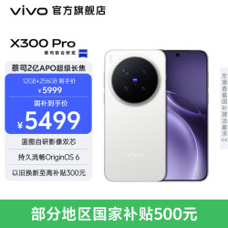 vivo X300 Pro 5G手机 12GB+256GB 简单白