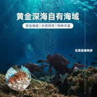 宫壹 大连底播刺参 即食海参
