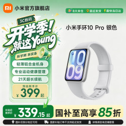 小米 10 Pro 标准版 智能手环 灰色 TPU