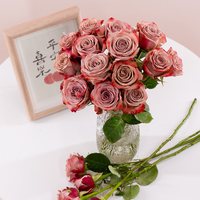 花恋谷 卡布奇诺玫瑰鲜花云南基地直发鲜切花家用水养百合向日葵顺丰冷链