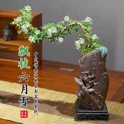 爱你一万年 飘枝六月雪盆景桌面茶几净化空气盆栽办公室内好养水培花卉绿植物