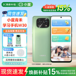 小度 青禾 W30 百度文心AI 绿色 8GB+256GB 5G手机