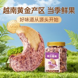 洽洽 坚果进化论A180紫衣腰果500g带皮坚果罐装坚果2026新货无添加果仁