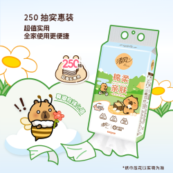 清风 卡皮巴拉4层加厚挂抽 1000张*提