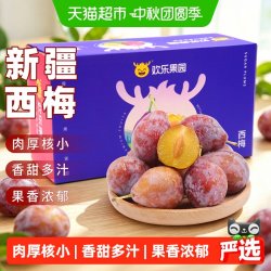 欢乐果园 新疆法兰西西梅伽师喀什李子孕妇当季水果