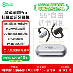 黑鲨 凤鸣Pro 骨传导概念 银色 挂耳式蓝牙耳机