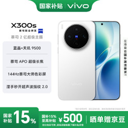 vivo X300s 5G手机 16GB+512GB 银白