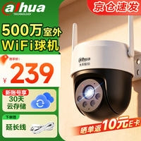 大华 dahua大华无线wifi监控摄像头 室外球机监控器500万高清 360度全景无死角带全彩夜视 手机