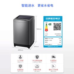 威力 10公斤大容量波轮家用洗衣机全自动洗脱宿舍租房用
