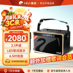 HiVi 高音质 便携式蓝牙音箱 话筒 电木吉他