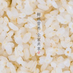 奕米阳光 胚芽米20斤组合装东北大米10kg原产地直发留胚米2.5kg/袋