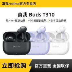 真我 BudsT310无线蓝牙耳机3D空间音效降噪耳机
