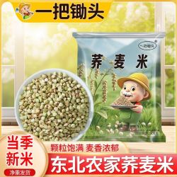 一把锄头1斤5斤东北荞麦米农家荞麦五谷杂粗粮乔麦三角煮粥非苦荞
