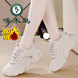 啄木鸟 品牌老爹鞋女鞋2026秋冬新款透气厚底休闲百搭网面运动鞋女