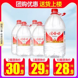 娃哈哈 饮用纯净水 5.5L*4桶