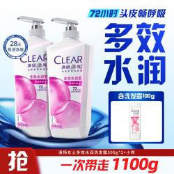 清扬 控油去屑洗发露500x2+小样（多版本随机）