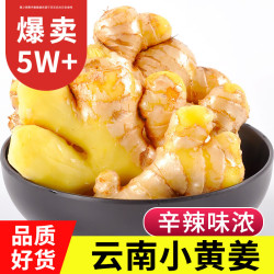 中鲜生 新姜月子姜小黄姜 净重2.5KG