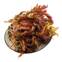 京喜加 云南高山香椿芽 新鲜嫩芽 500g