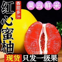 元珍鲜诚 集年鲜 红心蜜柚 净重4.5斤 优选大果