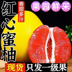元珍鲜诚 集年鲜 红心蜜柚 净重4.5斤 优选大果