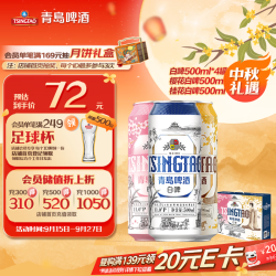 青岛啤酒 年货节 啤酒礼盒  礼盒装罐啤 500*10 500ml