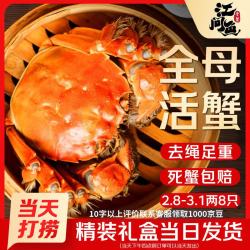江问鱼 大闸蟹全母2.8两-3.1两 8只精选装 鲜活螃蟹 假期嗨翻天