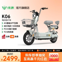 绿源 K06智能电动车新国标可上牌电动自行车上班通勤代步电瓶车 到门店选颜色