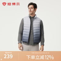 坦博尔 秋冬羽绒服男轻薄短款立领羽绒保暖内搭外穿马甲 几何线条灰 2XL (185)