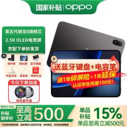 OPPO Pad Mini 8.8英寸 Android 平板电脑（2520