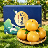 樱鲜 山东秋月梨 带箱 5 斤 单果 200g+